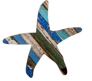 recycled starfish art