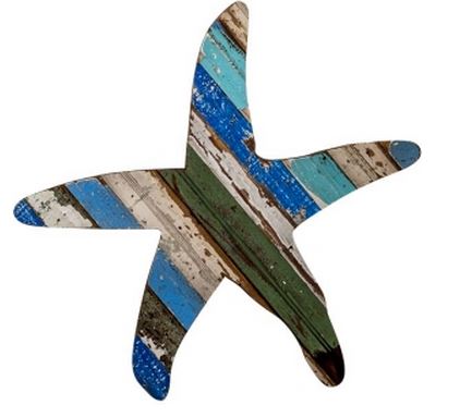 recycled starfish art
