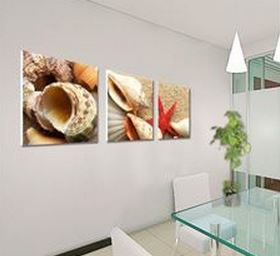 3 piece shells art