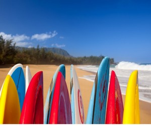 kauai surfboards